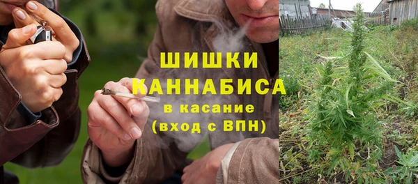 тгк Богданович