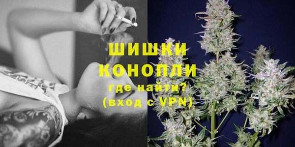 тгк Богданович