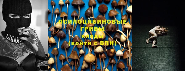 наркотики Богородицк