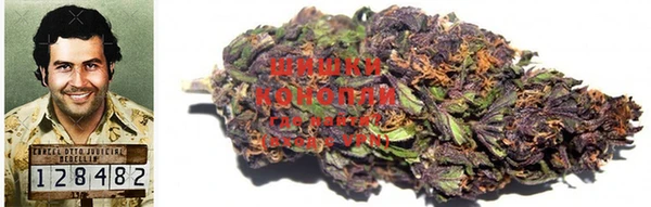 тгк Богданович